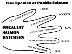 Salmon hand