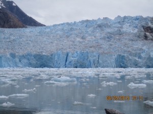 The Glacier at Tracy Arm